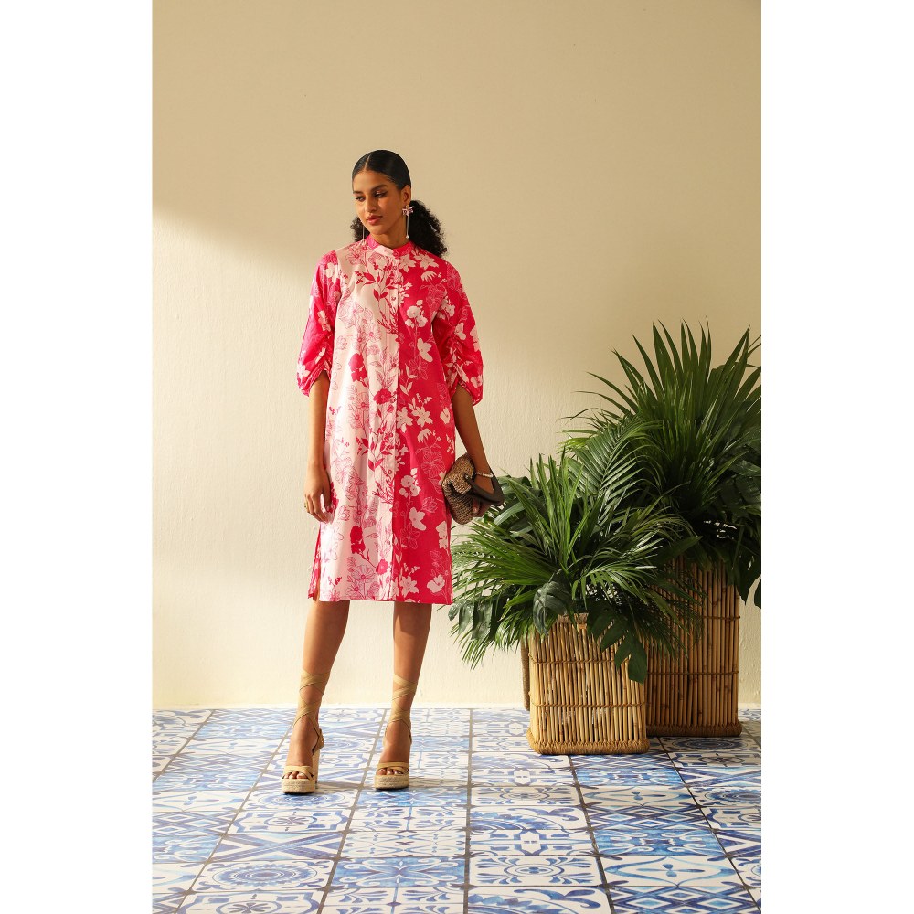 Label Deepika Nagpal Amelia Rose Dress (Set of 2)