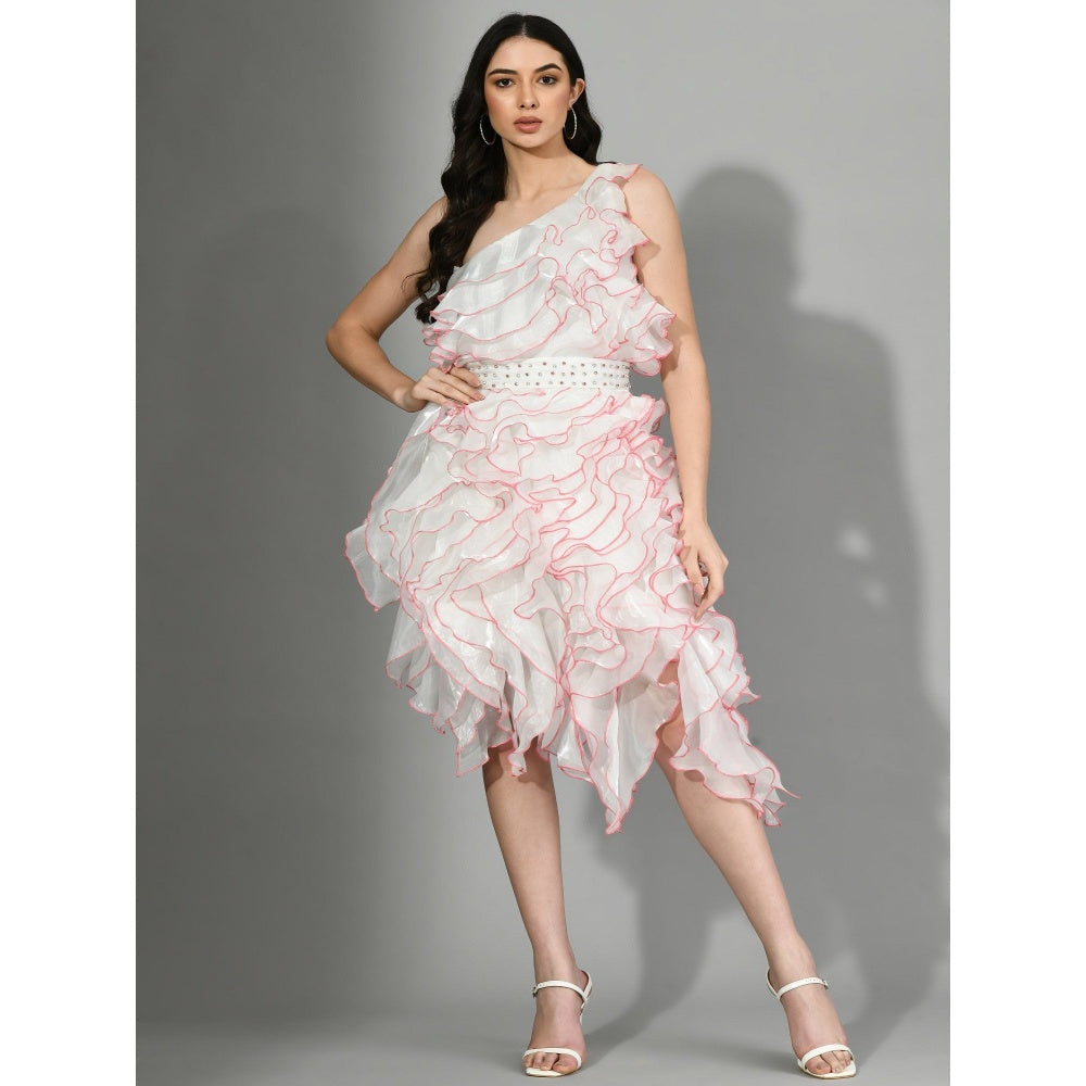 Sunanta Madaan Pink Affair Knee Length Dress (Set of 2)