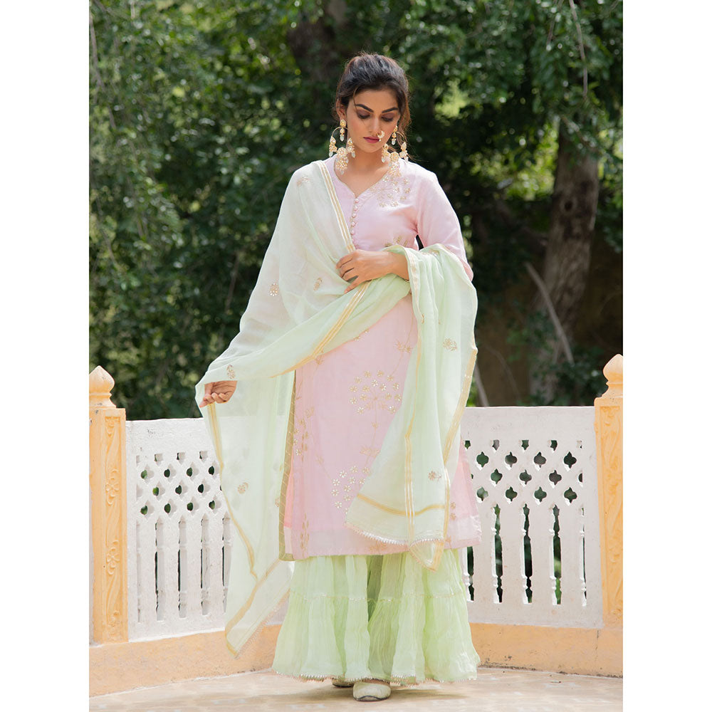 Maison Shefali Noor Harita Gulaab Sharara (Set of 3)