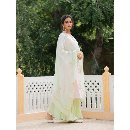 Maison Shefali Noor Harita Gulaab Sharara (Set of 3)