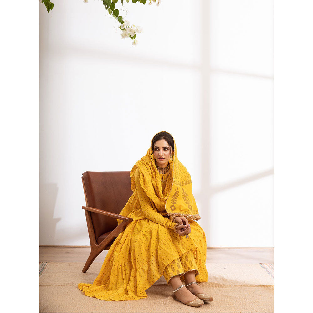 Maison Shefali Kalindi Suit Anarkali Pant And Dupatta (Set of 3)