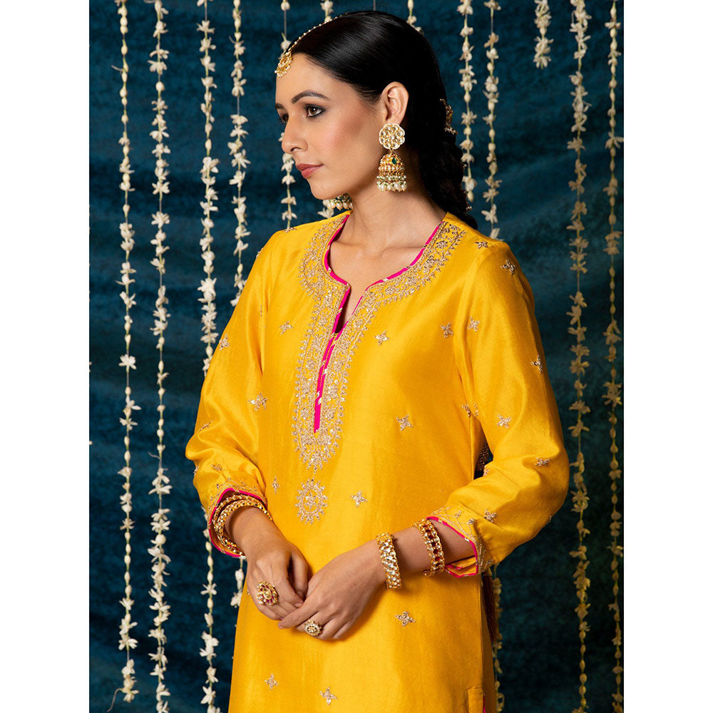 Maison Shefali Ambiya Kurta (Set of 3)