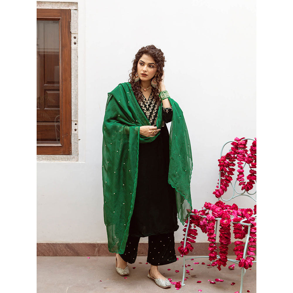 Maison Shefali Roya Panna - Velvet Embroidered Kurta & Pant with Dupatta (Set of 3)