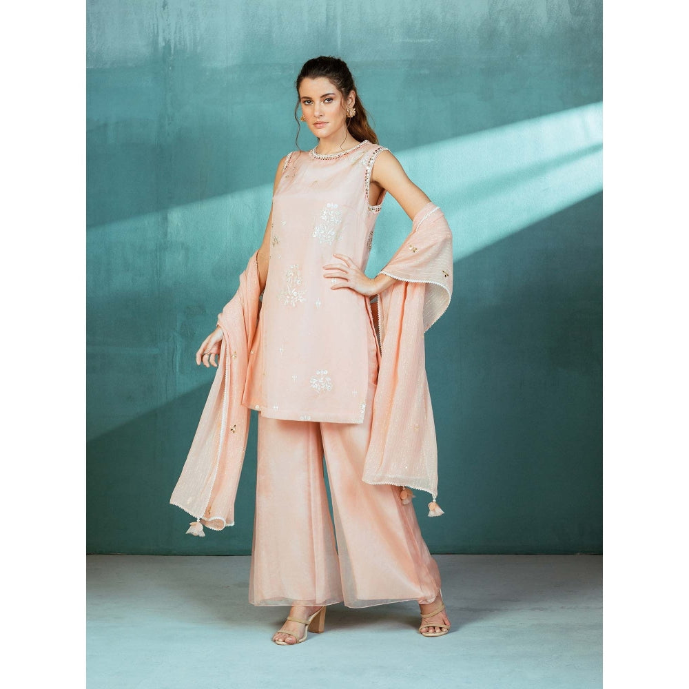 MANDIRA WIRK Salmon Pink Organza Foil Printed and Embroidered Palazzo (Set of 3)