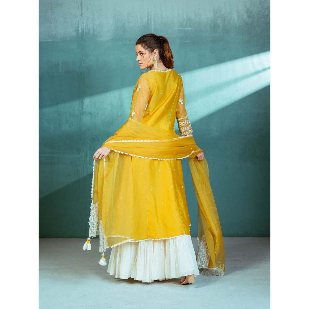 MANDIRA WIRK Mustard Chanderi Godet Kurta Sharara (Set of 4)