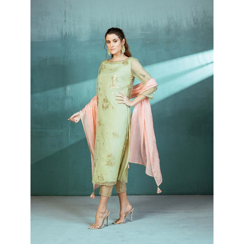 MANDIRA WIRK Mint Green Organza Foil Print Kurta (Set of 3)