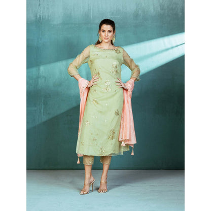 MANDIRA WIRK Mint Green Organza Foil Print Kurta (Set of 3)