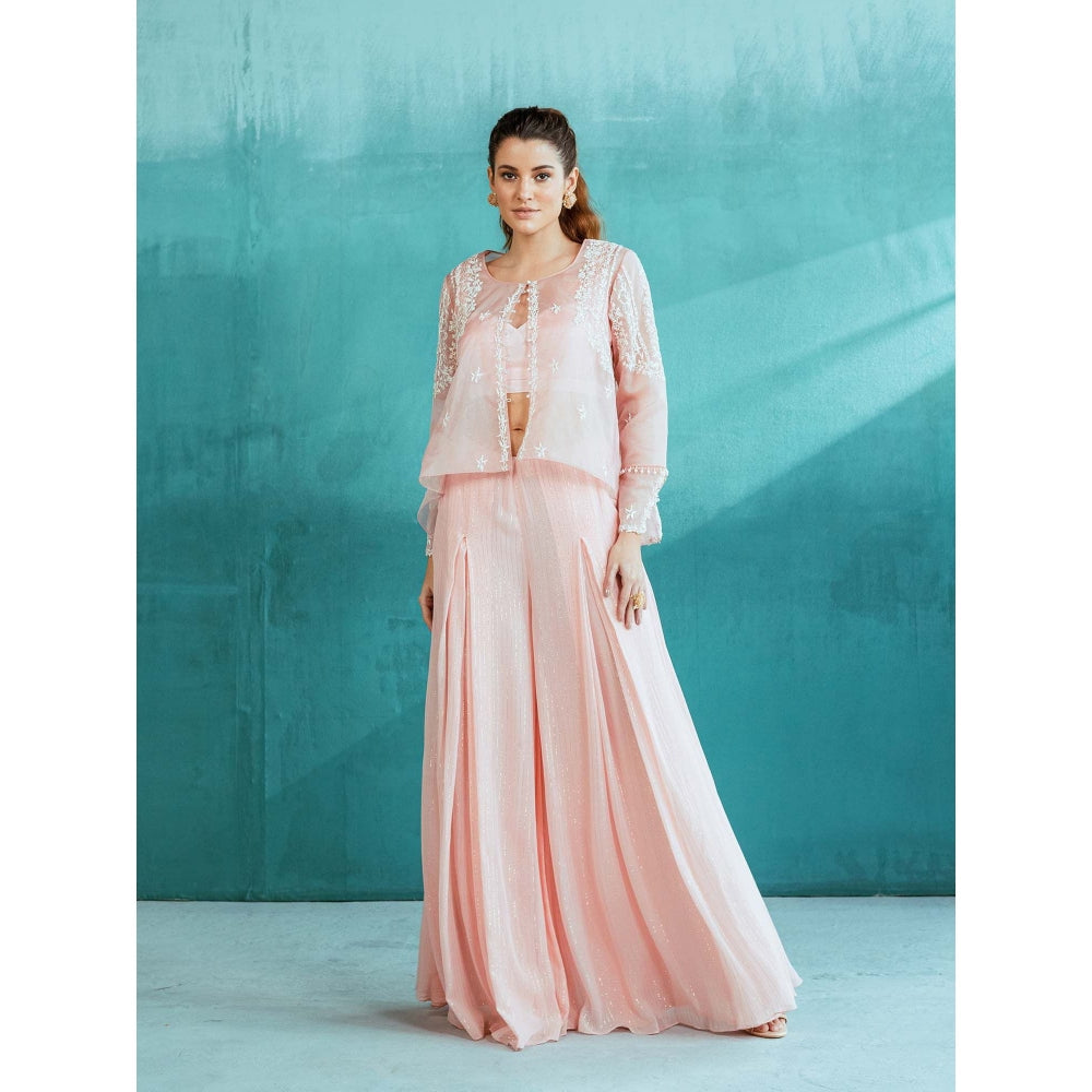 MANDIRA WIRK Peach Embroidered Organza Palazzo (Set of 3)