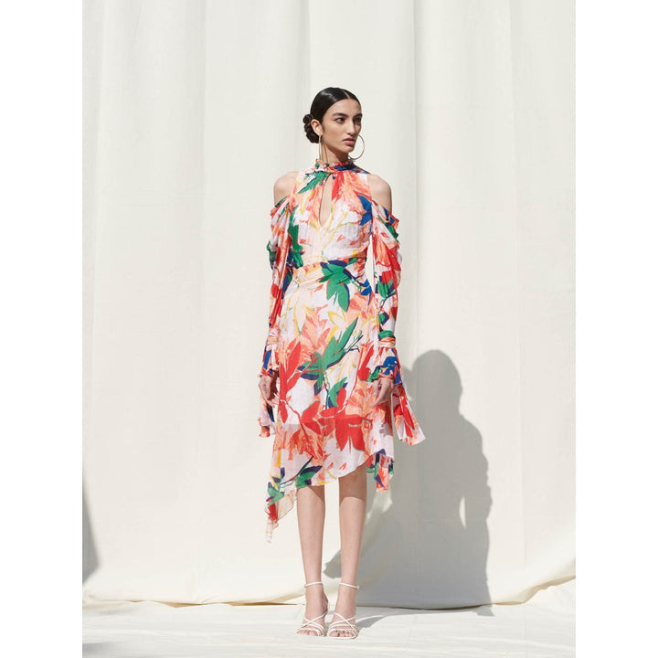 Mandira Wirk Multi-Color Printed Chiffon Dress
