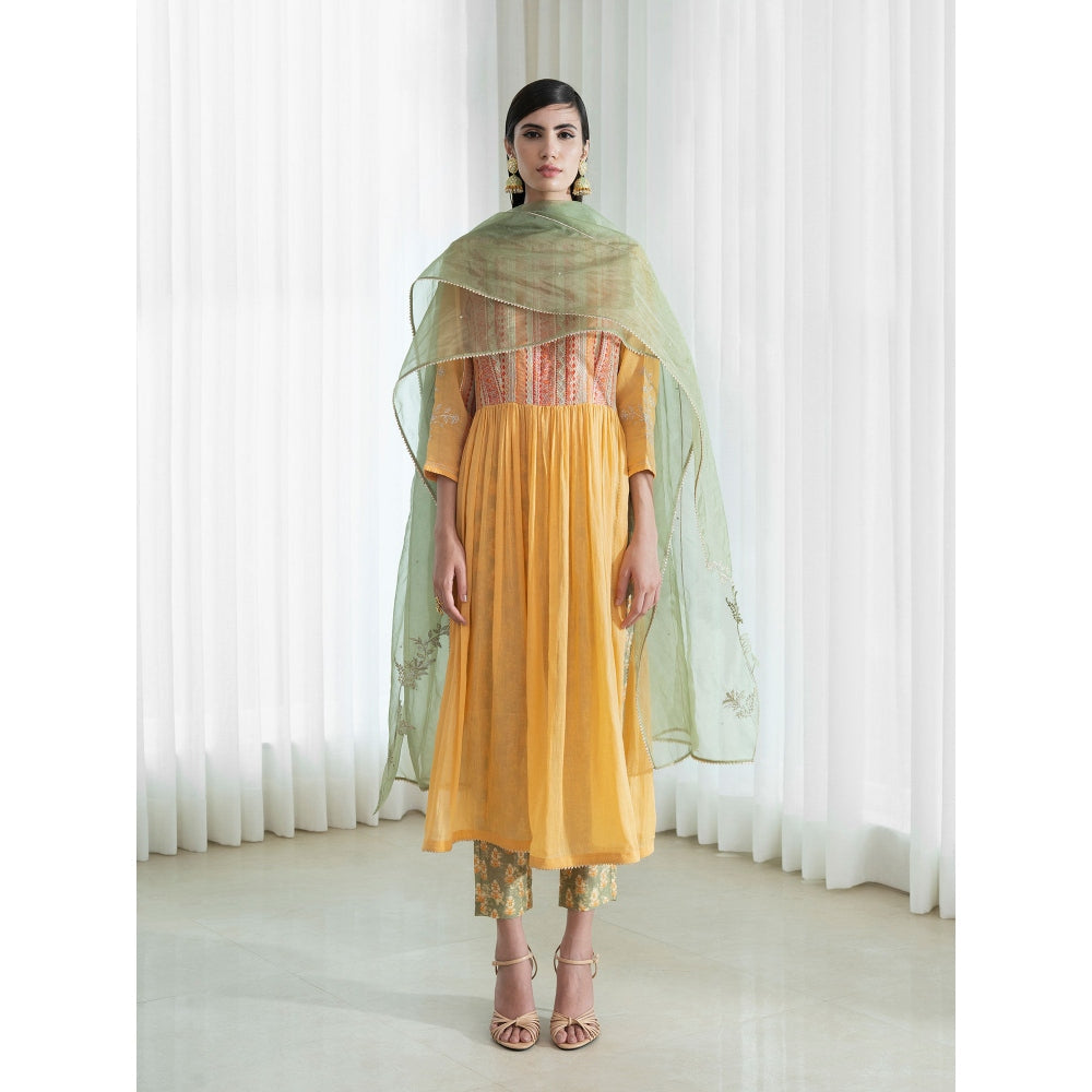 Mandira Wirk Multi-Colour Kurta (Set of 3)