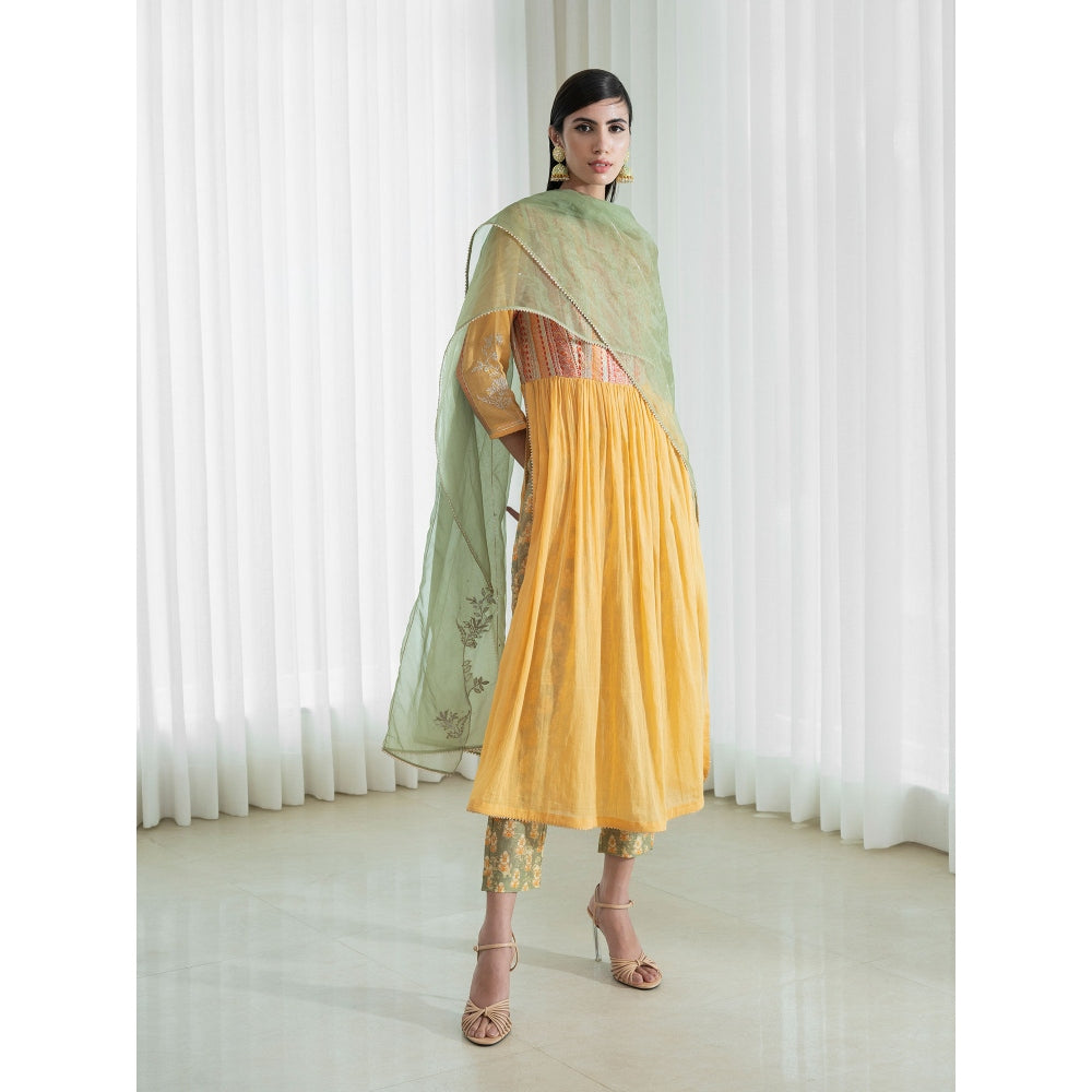 Mandira Wirk Multi-Colour Kurta (Set of 3)