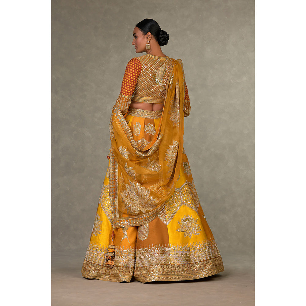 Masaba Ochre Neel-Kamal Lehenga Choli with Dupatta & Can Can Skirt (Set of 4)