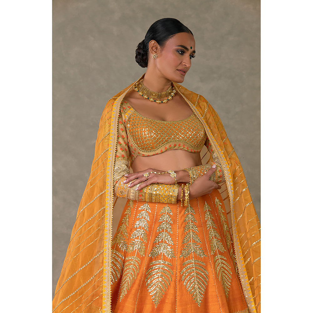 Masaba Rust Paan-Patti Lehenga Choli with 2 Dupatta & Can Can Skirt (Set of 5)