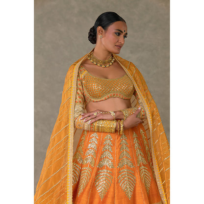 Masaba Rust Paan-Patti Lehenga Choli with 2 Dupatta & Can Can Skirt (Set of 5)