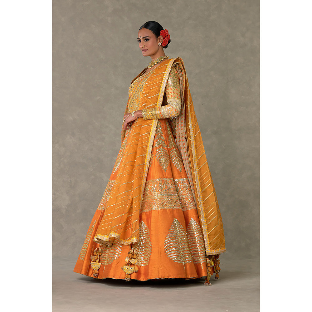 Masaba Rust Paan-Patti Lehenga Choli with 2 Dupatta & Can Can Skirt (Set of 5)