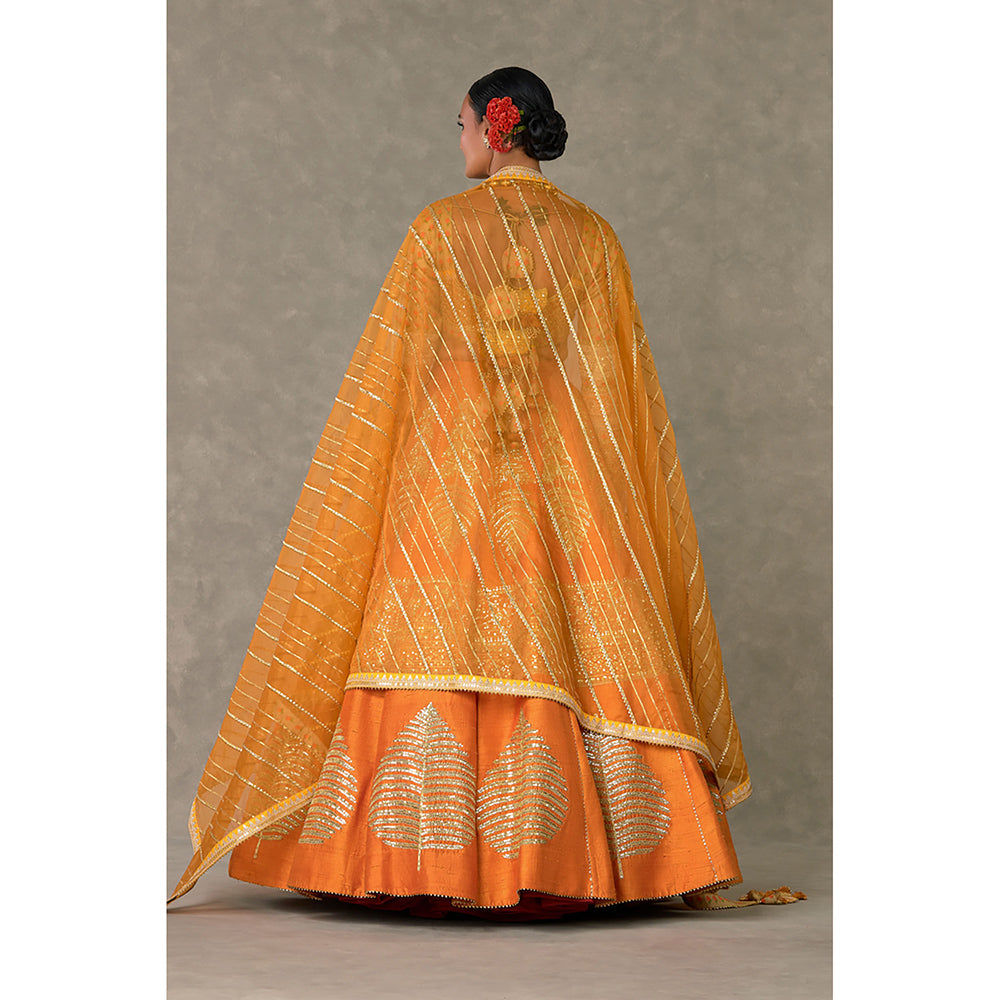 Masaba Rust Paan-Patti Lehenga Choli with 2 Dupatta & Can Can Skirt (Set of 5)