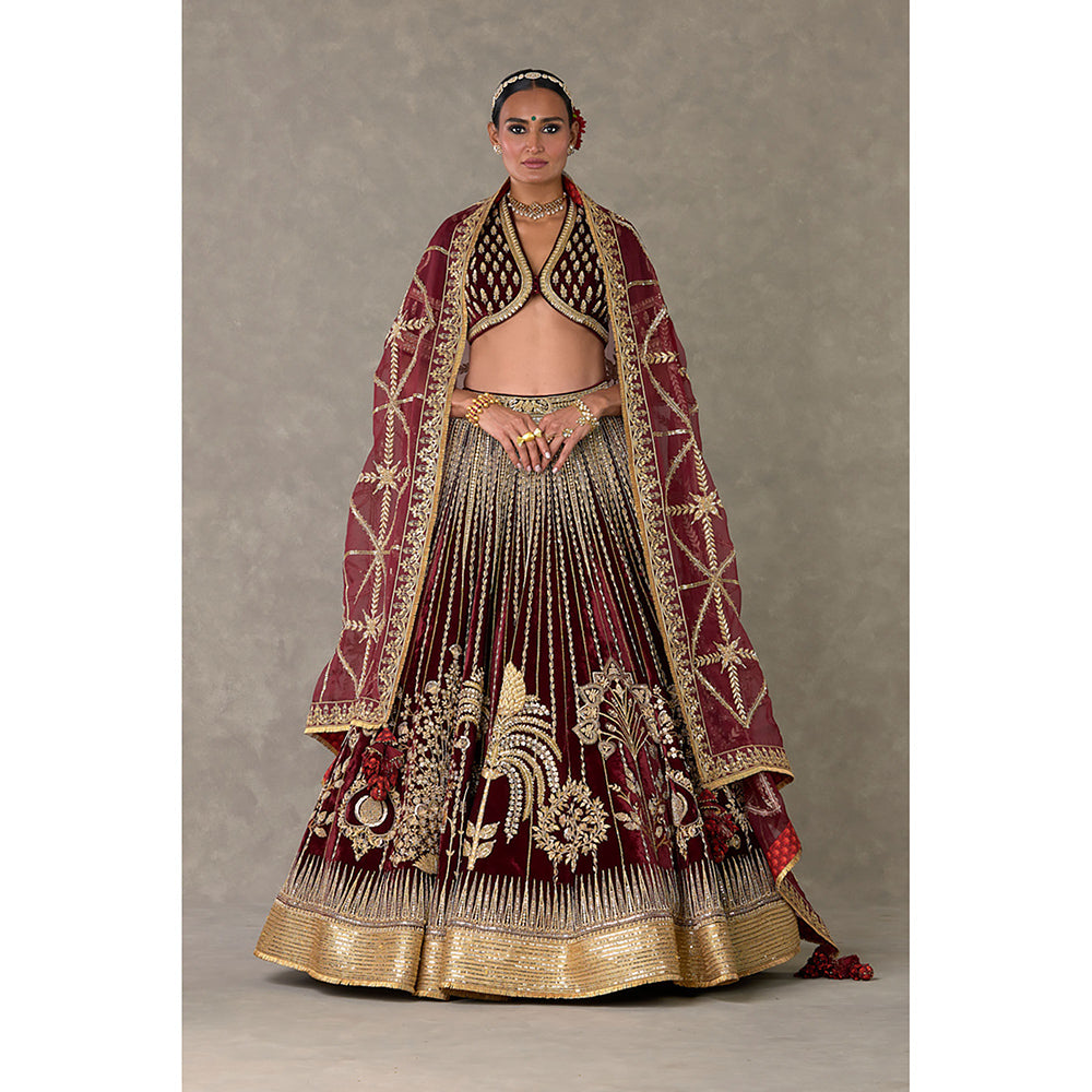 Masaba Wine Dil-Chidiya Lehenga Choli with Dupatta & Can Can Skirt (Set of 4)