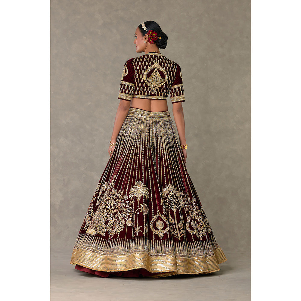 Masaba Wine Dil-Chidiya Lehenga Choli with Dupatta & Can Can Skirt (Set of 4)