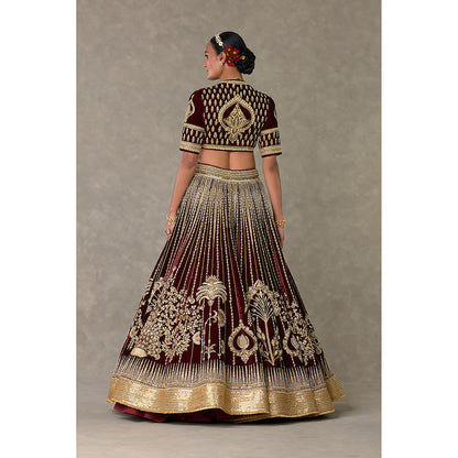Masaba Wine Dil-Chidiya Lehenga Choli with Dupatta & Can Can Skirt (Set of 4)