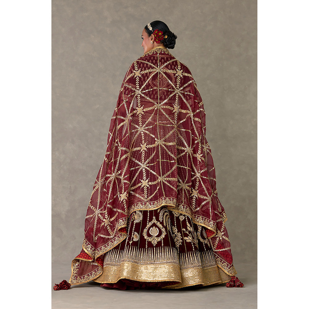 Masaba Wine Dil-Chidiya Lehenga Choli with Dupatta & Can Can Skirt (Set of 4)