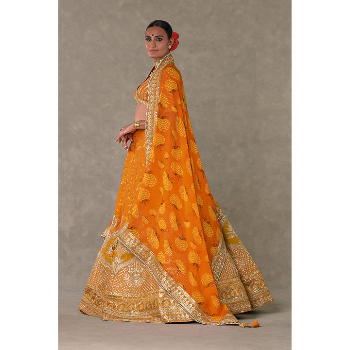 Masaba Rust Narangi-Bagh Lehenga Choli with Dupatta & Can Can Skirt (Set of 4)