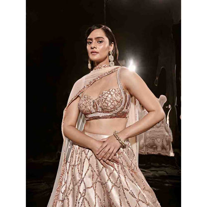 Masumi Mewawalla Light Beige Lehenga and Blouse (Set of 3)