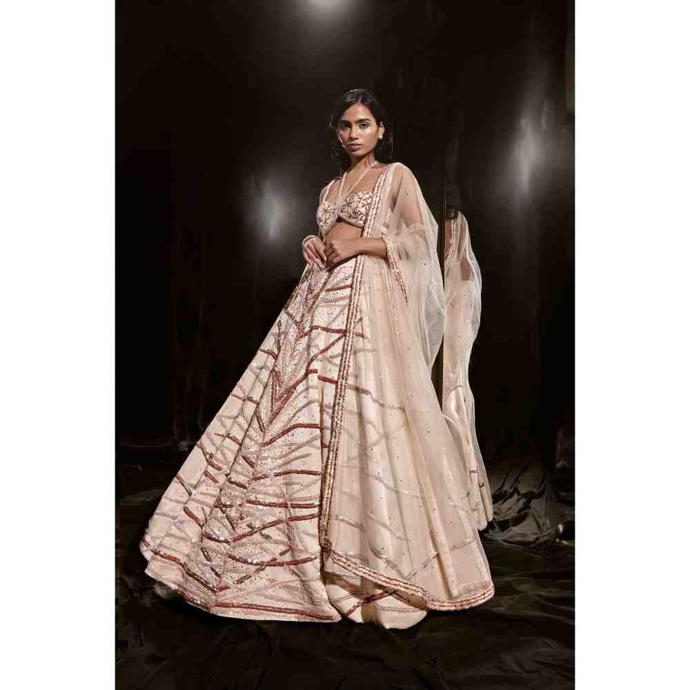 Masumi Mewawalla Light Nude Embroidered Lehenga Blouse (Set of 3)