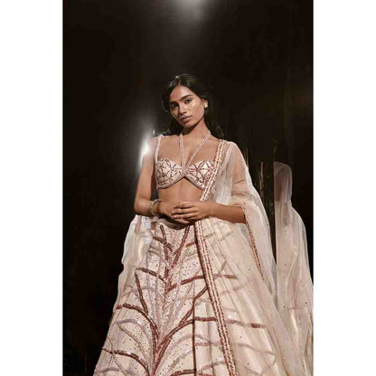 Masumi Mewawalla Light Nude Embroidered Lehenga Blouse (Set of 3)
