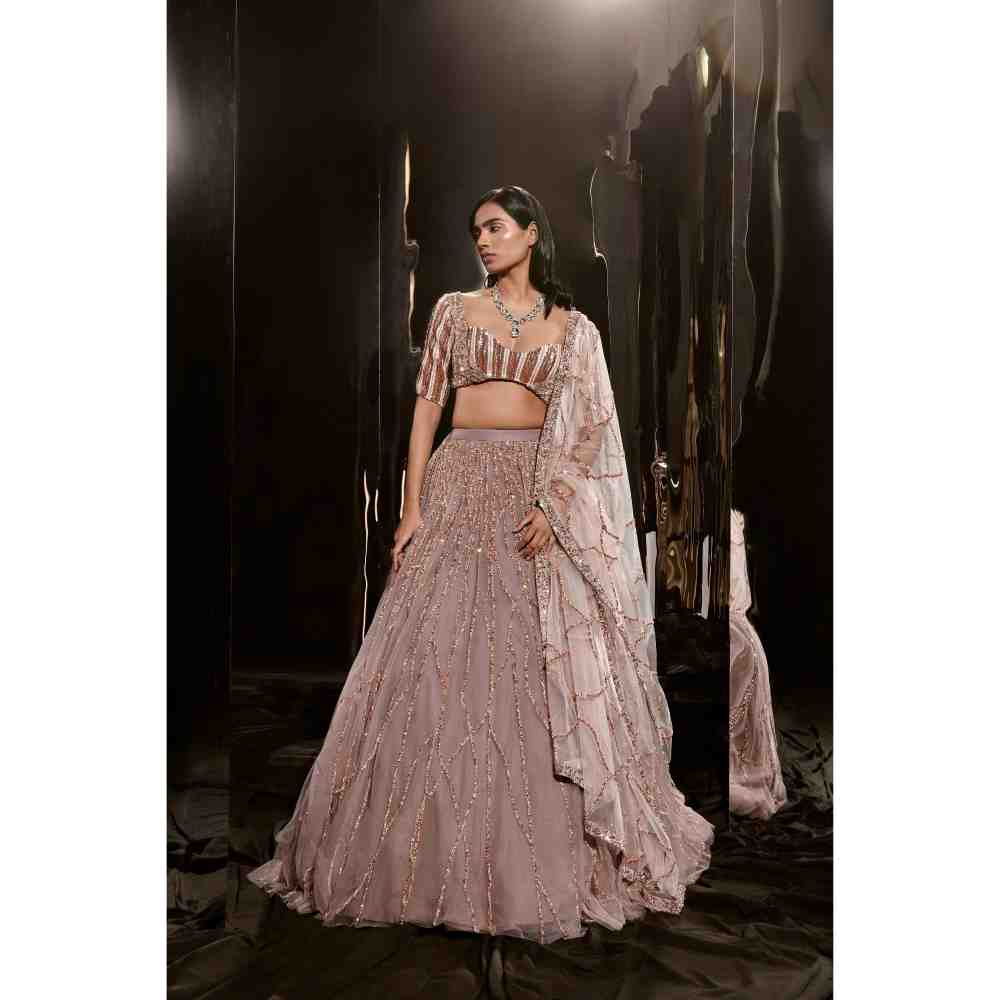 Masumi Mewawalla Brown Embroidered Lehenga Blouse (Set of 3)