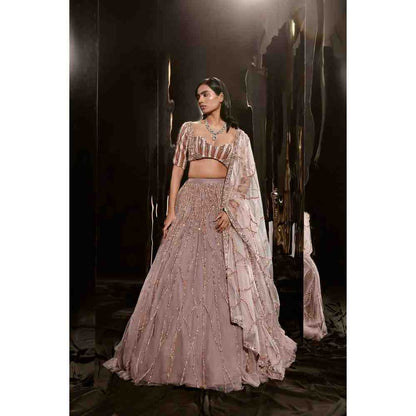 Masumi Mewawalla Brown Embroidered Lehenga Blouse (Set of 3)