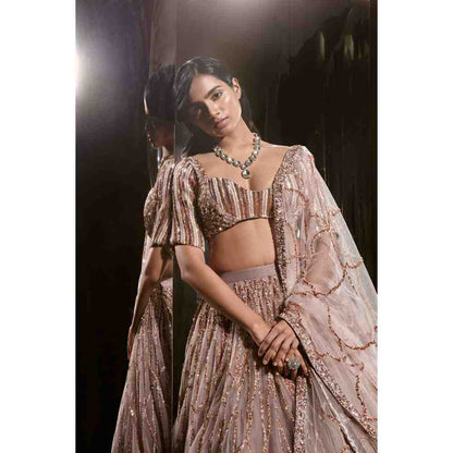 Masumi Mewawalla Brown Embroidered Lehenga Blouse (Set of 3)