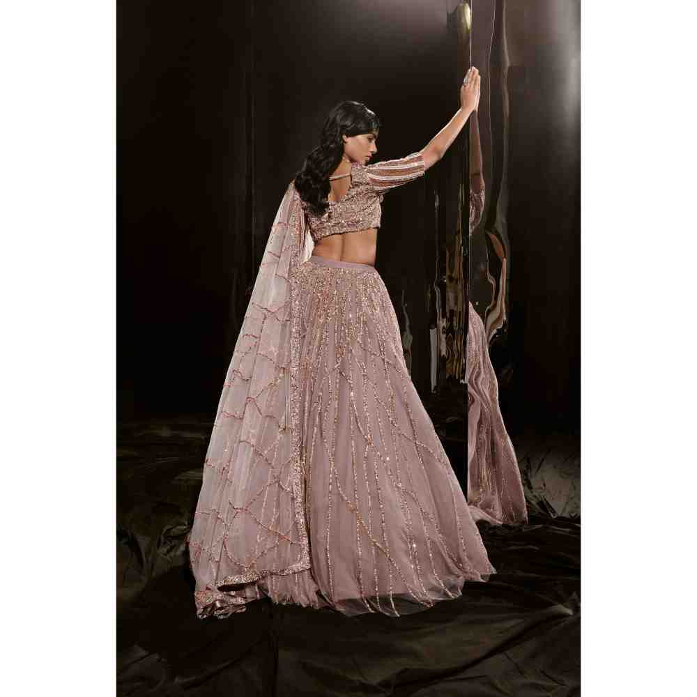 Masumi Mewawalla Brown Embroidered Lehenga Blouse (Set of 3)