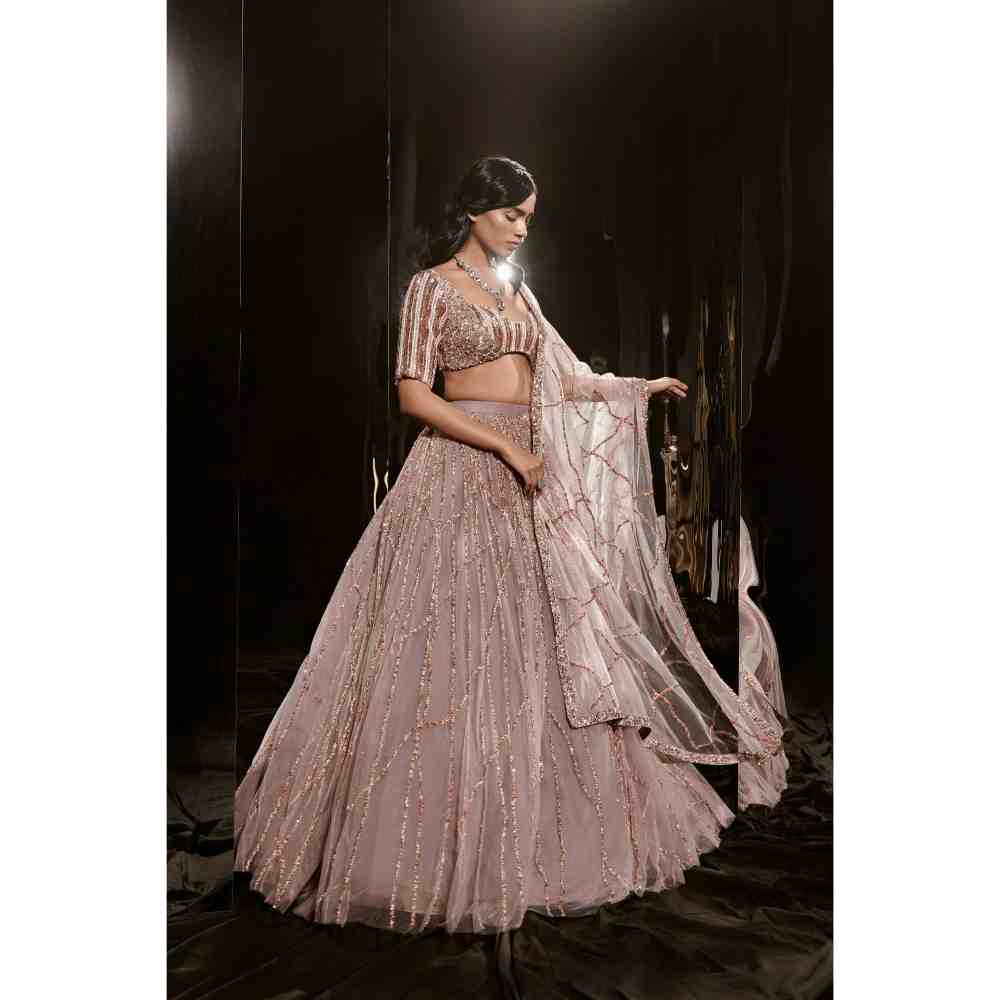 Masumi Mewawalla Brown Embroidered Lehenga Blouse (Set of 3)