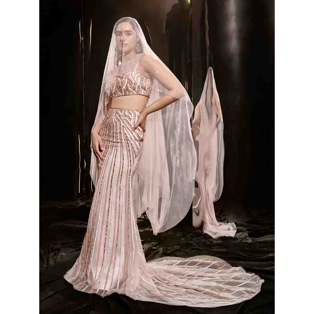 Masumi Mewawalla Pink Embroidered Skirt Blouse with Veil Dupatta (Set of 3)