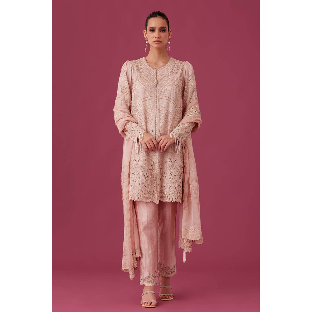 MEDHA BATRA Embroidered Organza Kurta with Pin Tucks Pant & Organza Dupatta Pink (Set of 3)