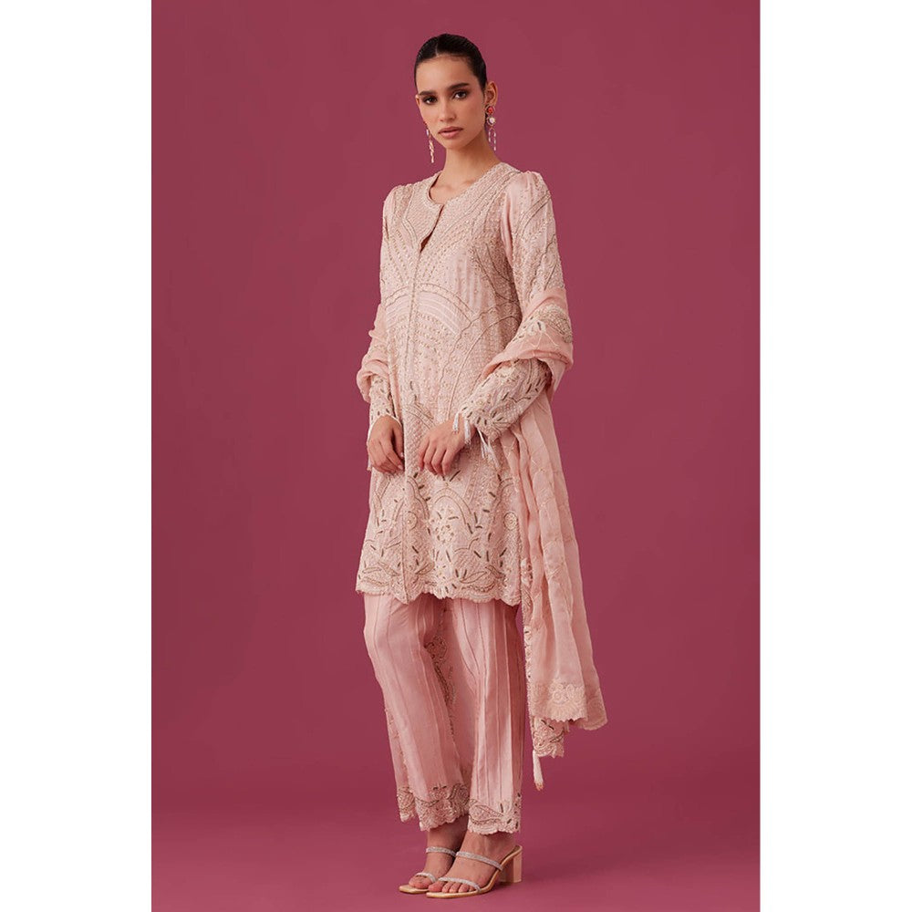 MEDHA BATRA Embroidered Organza Kurta with Pin Tucks Pant & Organza Dupatta Pink (Set of 3)