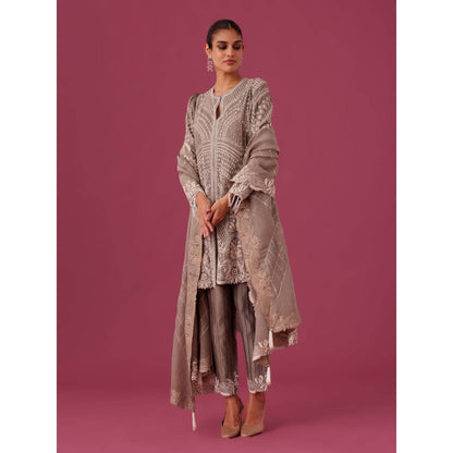 MEDHA BATRA Embroidered Organza Kurta with Pin Tucks Pant & Organza Dupatta Grey (Set of 3)