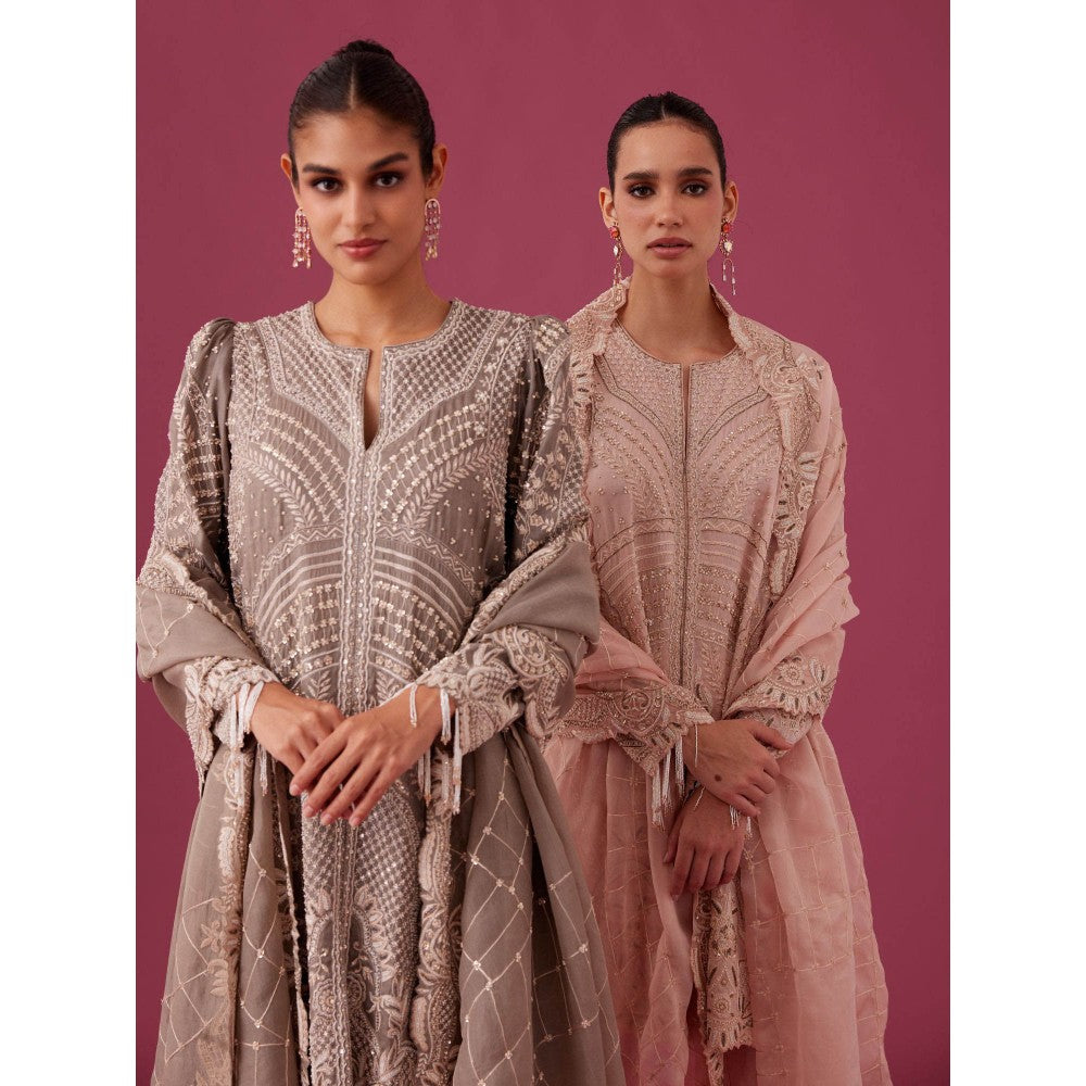 MEDHA BATRA Embroidered Organza Kurta with Pin Tucks Pant & Organza Dupatta Grey (Set of 3)