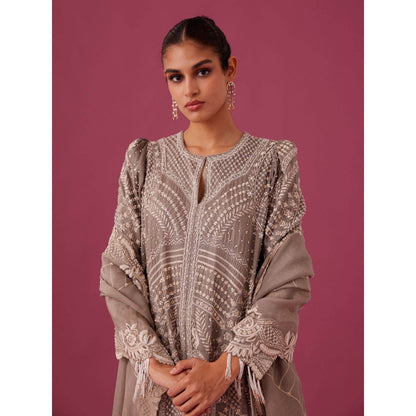 MEDHA BATRA Embroidered Organza Kurta with Pin Tucks Pant & Organza Dupatta Grey (Set of 3)