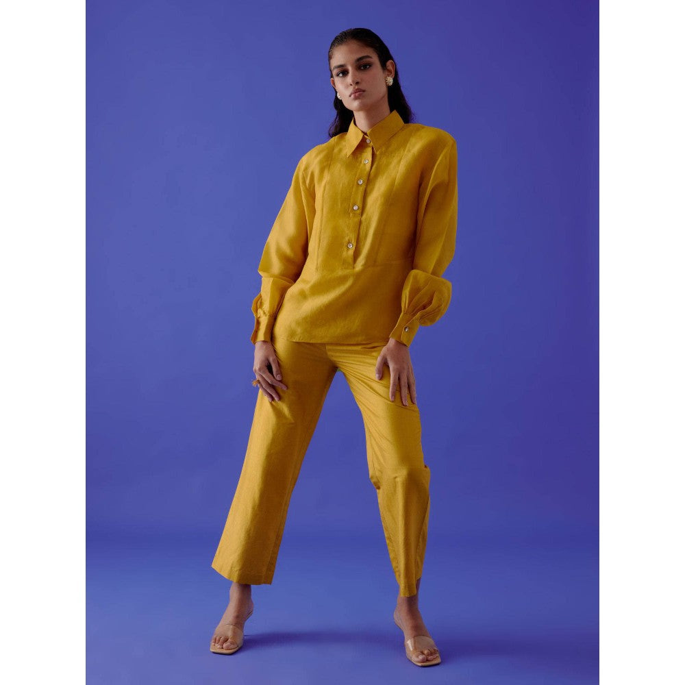 Medha Batra Yellow Sheer Shirt With Pant & Bustier (Set of 2)