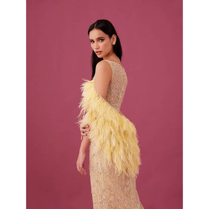 Medha Batra Yellow Embellished Gown With Cape (Set of 2)