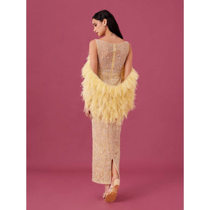 Medha Batra Yellow Embellished Gown With Cape (Set of 2)