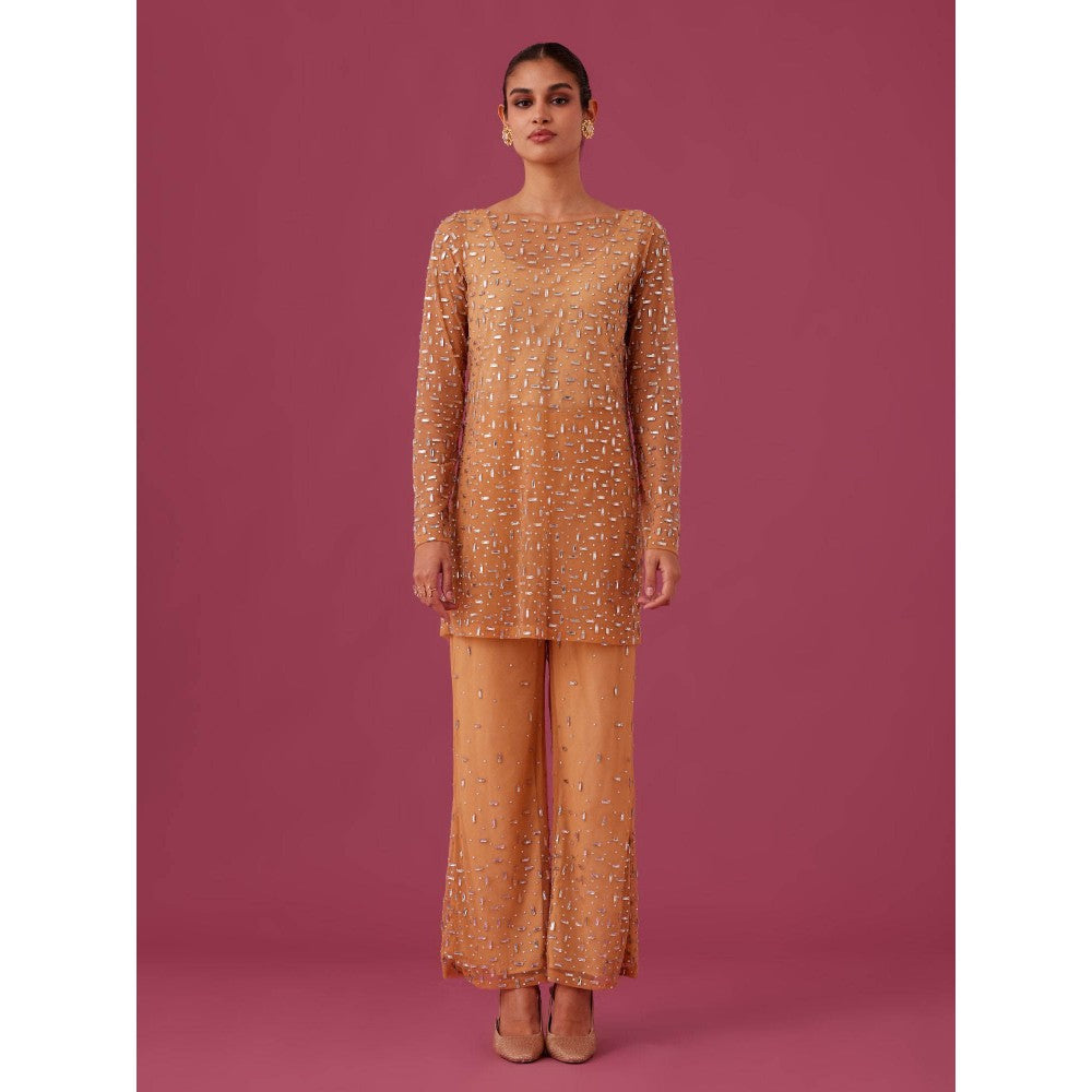 Medha Batra Brown Champagne Rose Net Co-Ord (Set of 3)