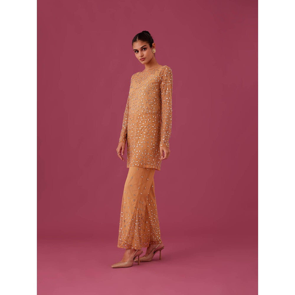 Medha Batra Brown Champagne Rose Net Co-Ord (Set of 3)