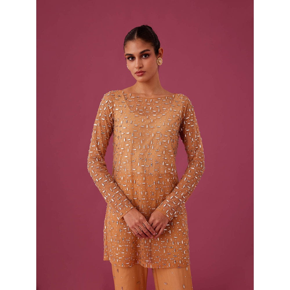 Medha Batra Brown Champagne Rose Net Co-Ord (Set of 3)