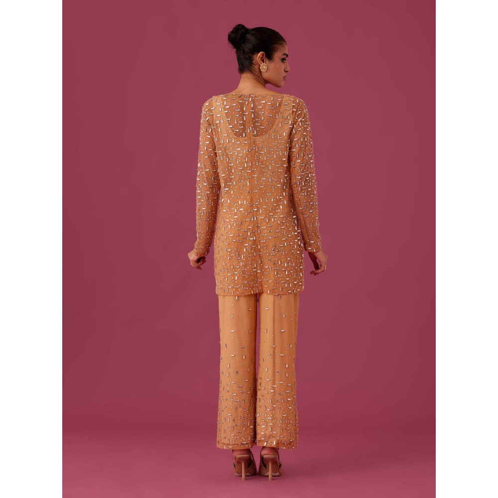 Medha Batra Brown Champagne Rose Net Co-Ord (Set of 3)