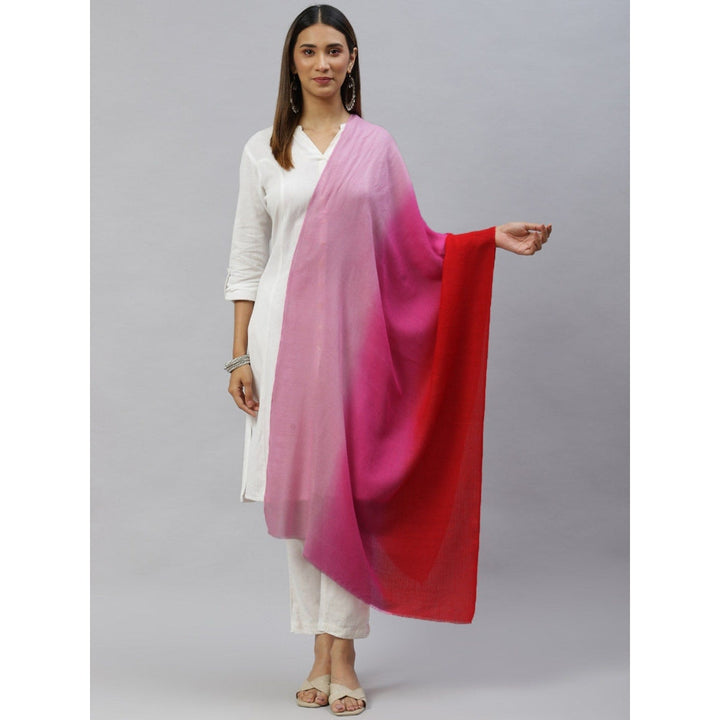 Modarta By Kamakshi Ombre Pink Woolen Shawl