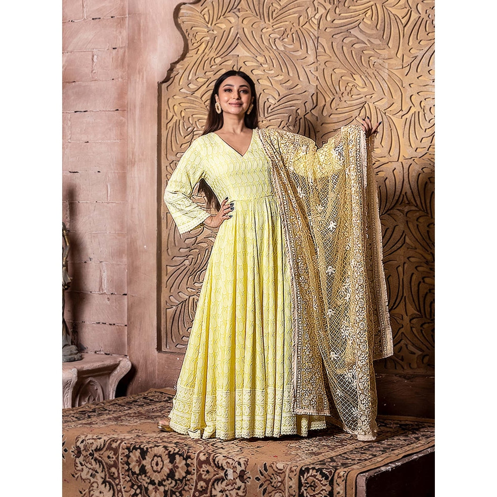 MONK & MEI Falak- Yellow Long Anarkali Embroidered Dress and Yellow Zari Dupatta (Set of 2)