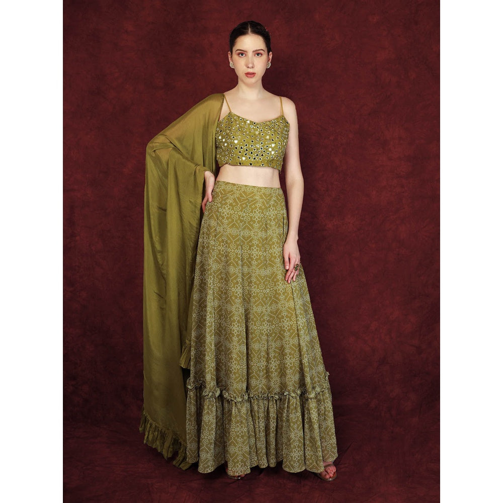 Neha Khullar Printed Lehenga - Green (Set of 3)