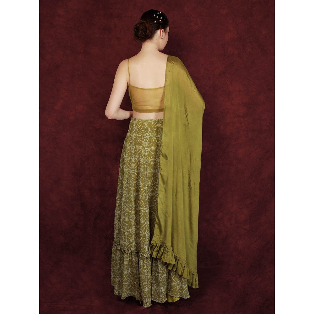 Neha Khullar Printed Lehenga - Green (Set of 3)